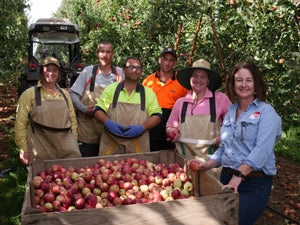 An apple a day may keep Alzheimer’s disease away!