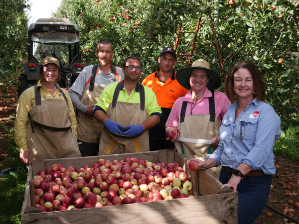 An apple a day may keep Alzheimer’s disease away!